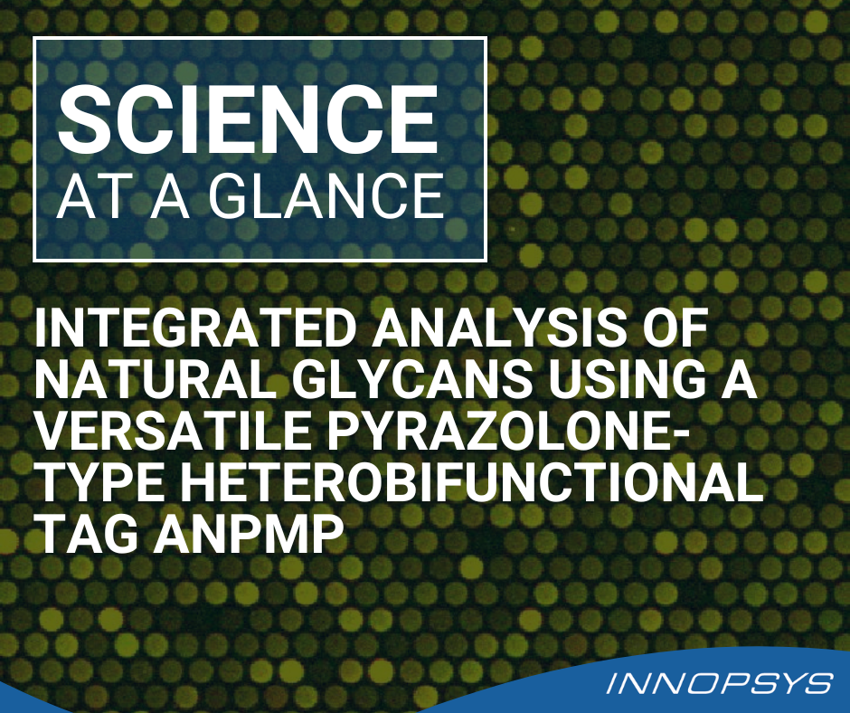 Integrated analysis of natural glycans using a versatile pyrazolone-type heterobifunctional tag ANPMP