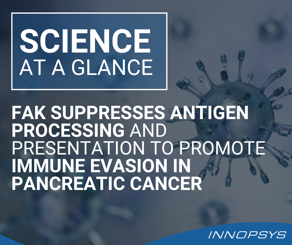 FAK suppresses antigen processing and presentation to promote immune evasion in pancreatic cancer