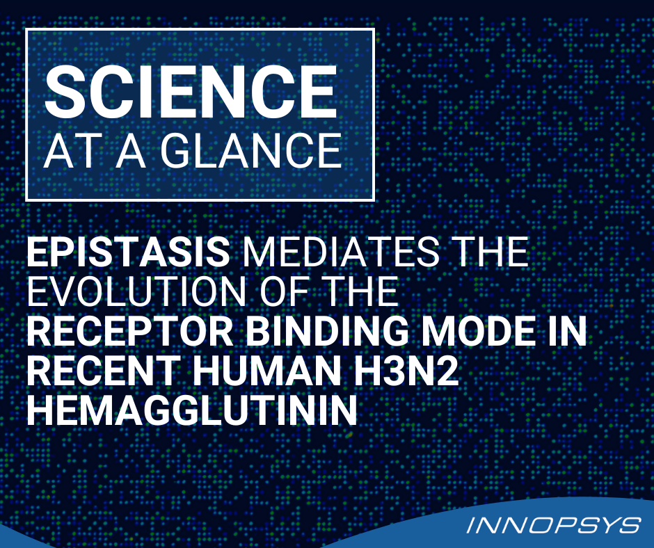 Epistasis mediates the evolution of the receptor binding mode in recent human H3N2 hemagglutinin