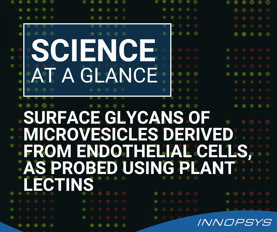 Surface Glycans of Microvesicles Derived from Endothelial Cells, as Probed Using Plant Lectins